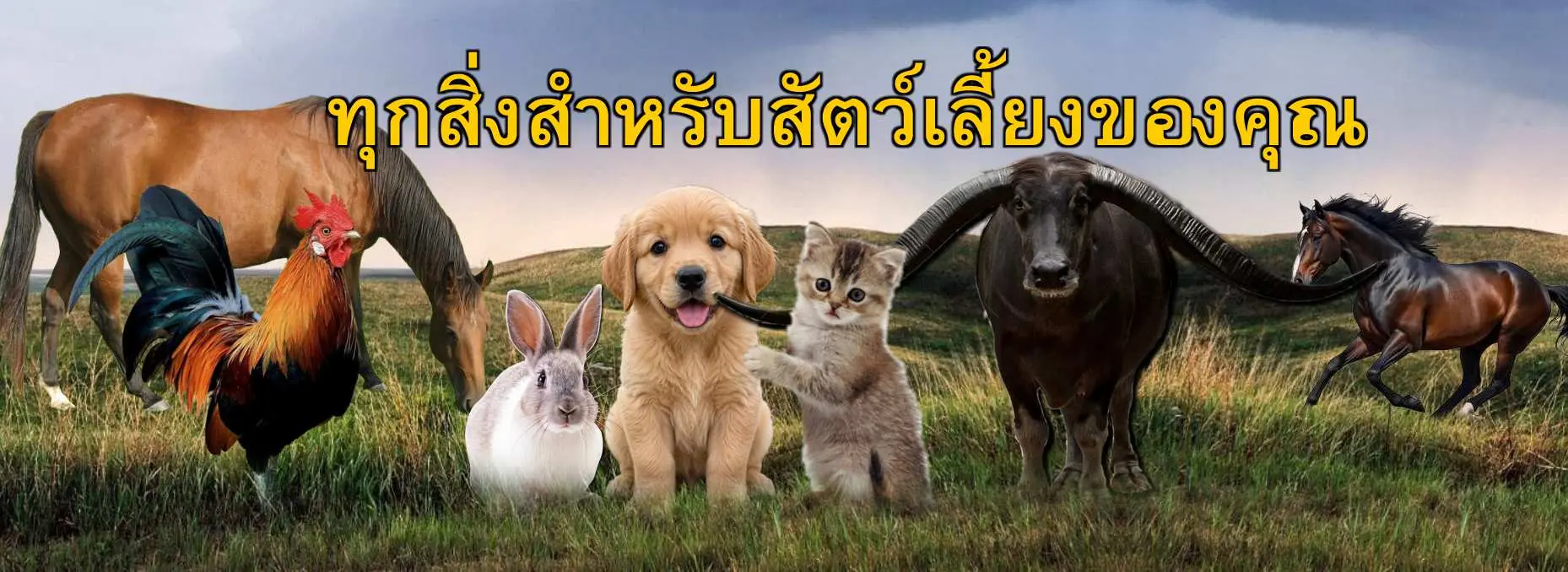 ทุกสิ่งสำหรับสัตว์และสัตว์เลี้ยงของคุณ